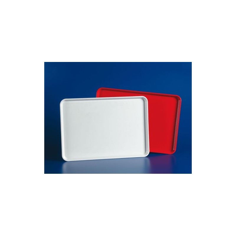 Bandeja 60x40 presentacion