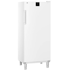 Armario frigorífico ventilado Liebherr FRFvg 5501